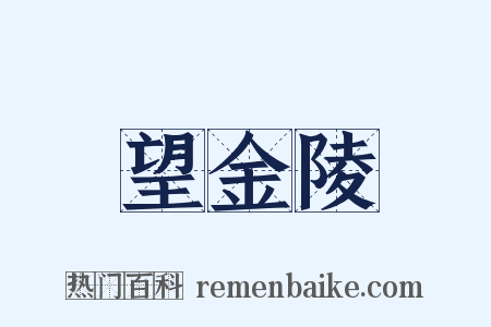 望金陵是什么意思的图片